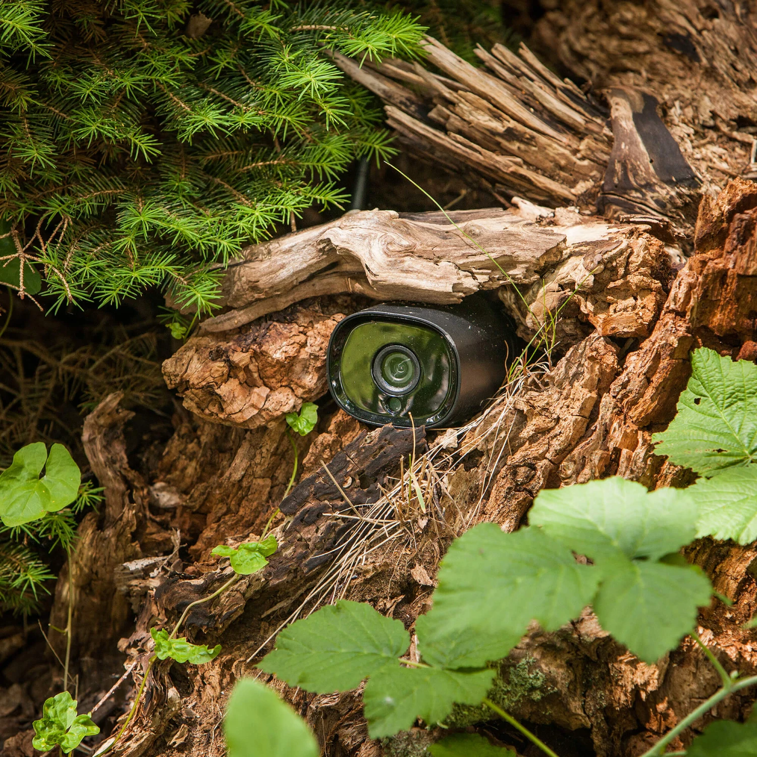 HEISSNER SMART GARDEN CAM - WiFi-Kamera IP66 Outdoor – Bild 2